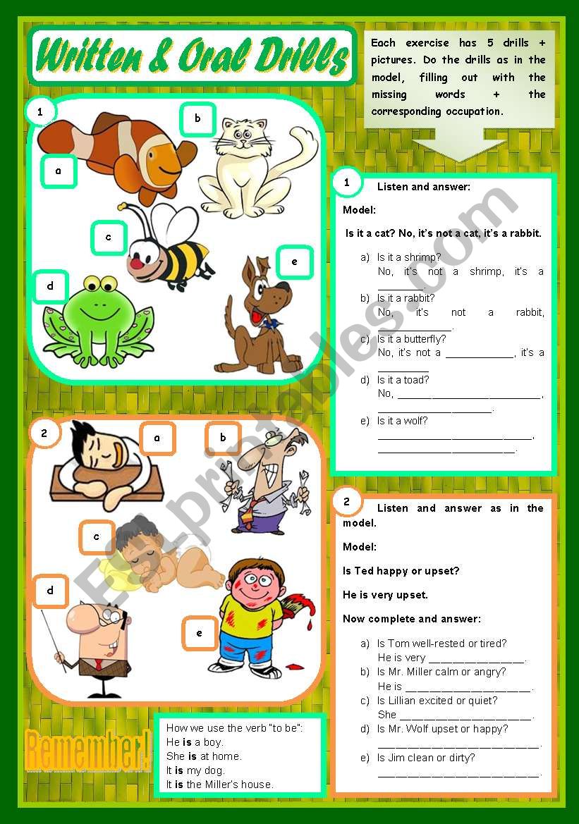 Written & Oral Drills  Vocabulary (animals, adjectives, food, weather) and grammar (to be, there to be, some / any) 4 exercises with 5 drills each  instructions for the listening [audio transcription included] ((4 pages)) ***editable